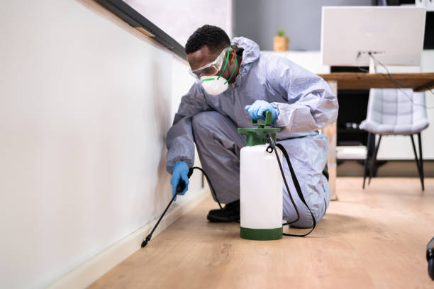 Best Pest Prevention Services  in West Hempstead, NY